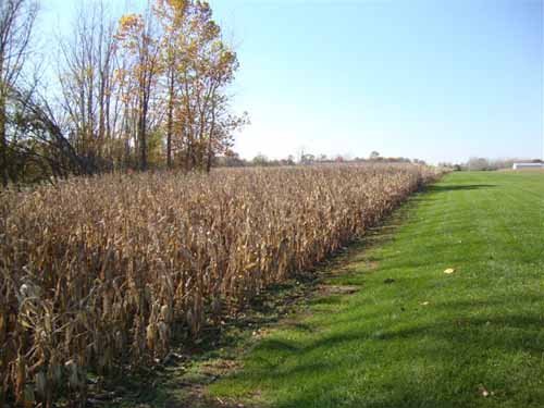 Property photo 2 - 24.8 Acre Absolute Real Estate Auction - Tillable Land with Pond and Woods